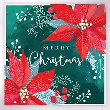 Poinsettia Christmas Cards