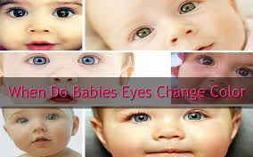 But even so, your baby's eye color may still hold some surprises. Indi Eye Color With Age