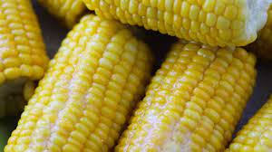 boiling corn in milk with fresh or