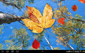 autumn leaves live wallpaper apk