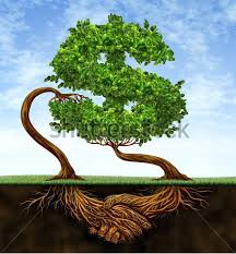 Image result for money root