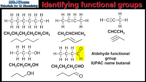 10 1 identifying functional groups sl