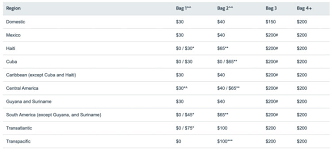 american airlines bage fees