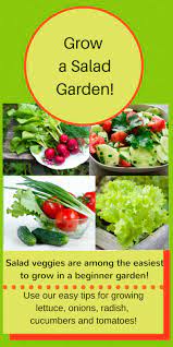 Beginner Vegetable Garden Free Plans