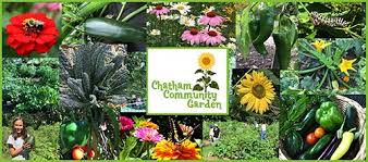 community garden chatham nj