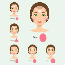 238 face shapes makeup vector images