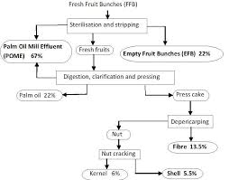 Process Flow Diagram For Palm Oil Production 24 However