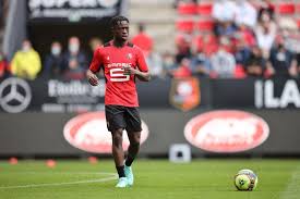 Stade rennais football club, commonly referred to as stade rennais fc, stade rennais, rennes, or simply srfc, is a french professional footb. 44xfack3uihwum