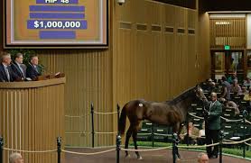 Keeneland September Sale 2016 Results Show Stability