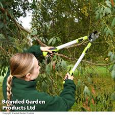 garden gear telescopic anvil lopper