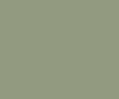 moody green house paint colour shades