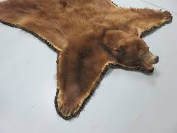 bear skin rug b 141r mounts