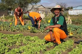 This Garden Club Makes It Fun To Help