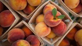 Are canned peaches in juice good for you?
