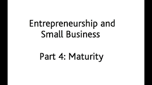 entrepreneurship and small business rd edition by paul burns entrepreneurship and small business 3rd edition by paul burns part 4 maturity