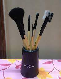 vega make up brushes set