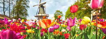 keukenhof tickets and tours in