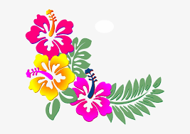 Png bunga png collections download alot of images for png bunga download free with high quality for designers. Clipart Bunga Png Black And White Hawaiian Flower Full Size Png Download Seekpng