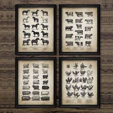 Our whimsical animals canvas art is stretched on 1.5 inch thick stretcher bars and may be customized with your choice of black, white, or mirrored sides. Vintage Farm Animals Poster Print Cow Chicken Pig Sheep And Horse Wall Art Canvas Horse Wall Art Canvases Farm Prints Vintage Farm