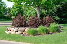 Retaining Wall Around A Tree