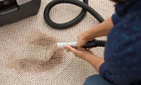 carpet cleaning for five rooms oracle