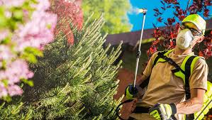 Landscaper Licensing Requirements By