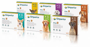 Guide To Simparica For Dogs Uses Dosage Side Effects