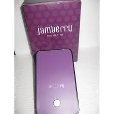 jamberry nails style mini heater