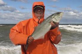 The permit is free and valid for three years. Nys Off Road Sportfishing Permits The Fisherman
