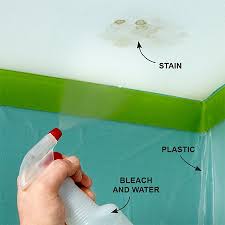 Get Rid Of Ceiling Mould
