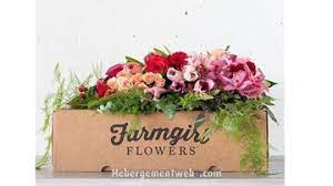 On average we discover a new farmgirl flowers discount code every 30 days.in the last. The Best Flower Delivery Services For Valentine S Day 2021
