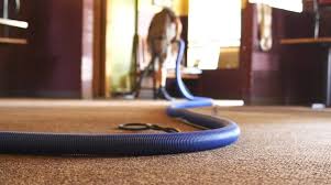 top carpet care upholstery cleaning