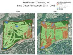 Whats At Risk Charlotte Tree Plan