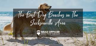 jacksonville area dog friendly beaches