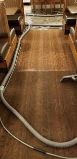 buckeye steemer carpet cleaner