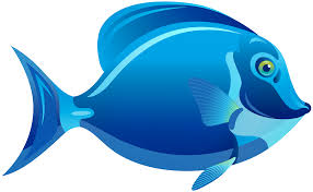 blue fish png clipart best web clipart
