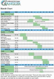 The Missoulian Angler Fly Shop Hatch Chart The