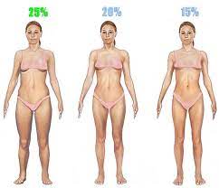 a guide for estimating your body fat