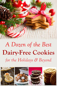 Amazon's choice for christmas sugar free candy. A Dozen Of The Best Dairy Free Cookie Recipes For The Holidays