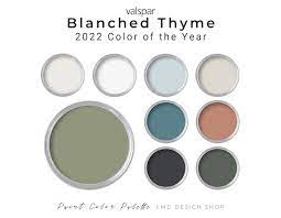 Blanched Thyme Valspar Paint Palette