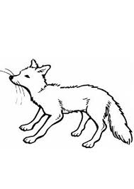 Explore 623989 free printable coloring pages for you can use our amazing online tool to color and edit the following coloring pages of baby foxes. Coloring Pages Baby Fox Coloring Page
