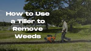 how to use a tiller to remove weeds