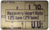 Recovery Heart Rate Feature On Garmin Watches Garmin Support