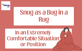 snug as a bug in a rug meaning