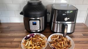 i made fries in an instant pot and