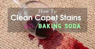 1 diy how to clean carpet sns with