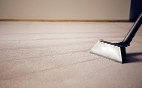 carpet steam cleaning professionals