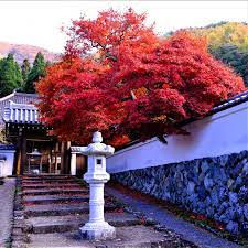 長野県長野市若穂 清水寺。身近にあった素晴らしい紅葉 | 言葉の魔法 ～笑みがこぼれるとき