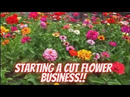 Cut Flower Farm