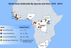 The 2014 ebola virus epidemic in west africa has implications for the world. Ebola Virus Outbreaks Epidemics And Symptoms